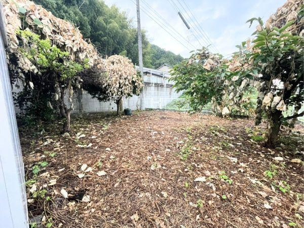 賀来　土地のその他|現地写真