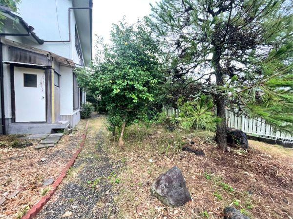 賀来　中古の庭