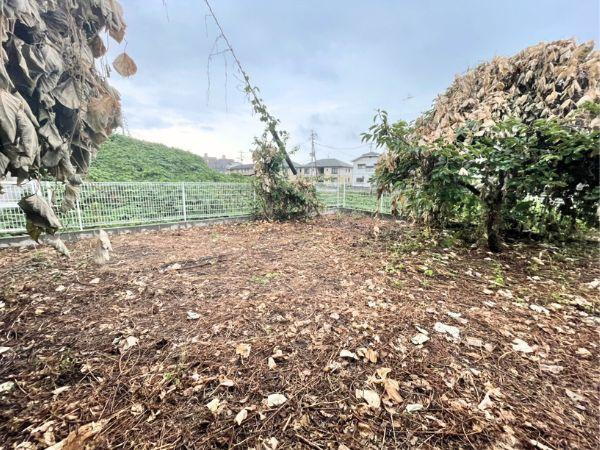 賀来　中古の庭