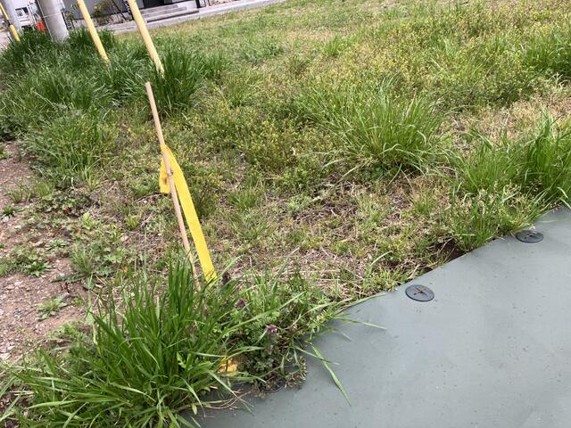 宇都宮市東峰町　202.33㎡　売地の外観