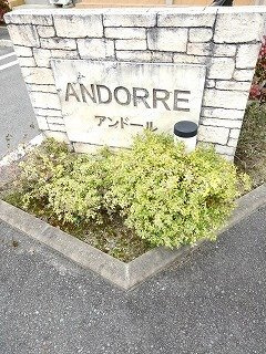 Ａｎｄｏｒｒｅ　Ｂのその他