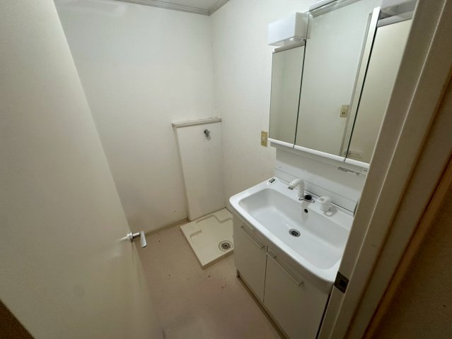 ローズハイツの洗面所