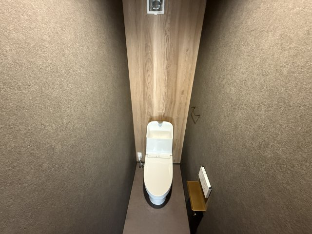 COLORSCITY63区画 TRIBUTEイエコレ　天然木デザイン建売のトイレ|１階トイレです