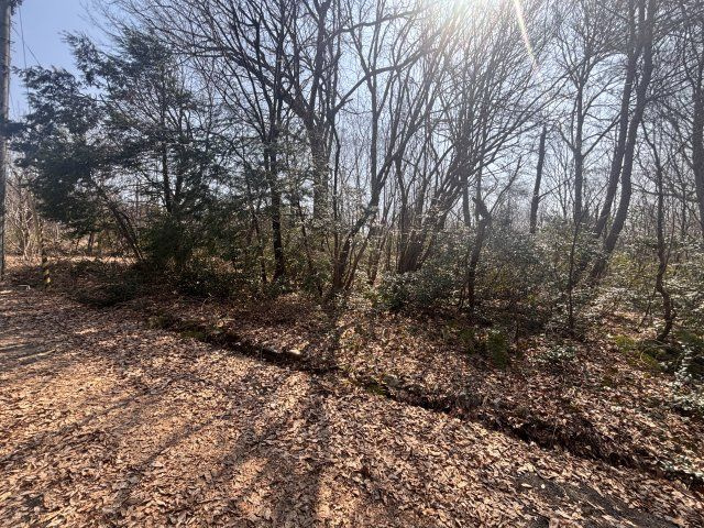 高島市今津町福岡1167-26、1171-8　売土地