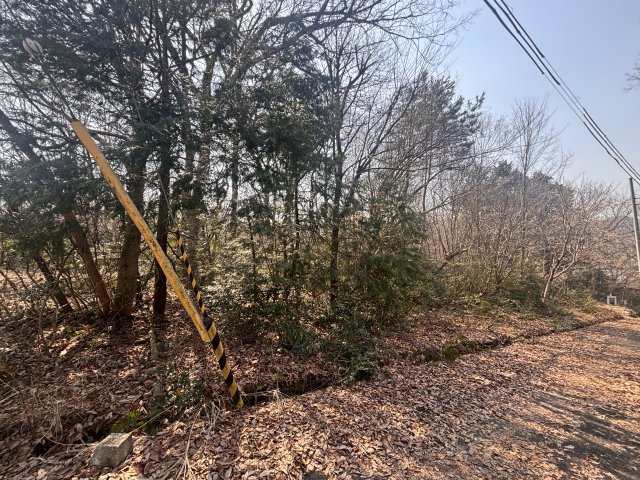 高島市今津町福岡1167-26、1171-8　売土地の外観|2025年03月　撮影