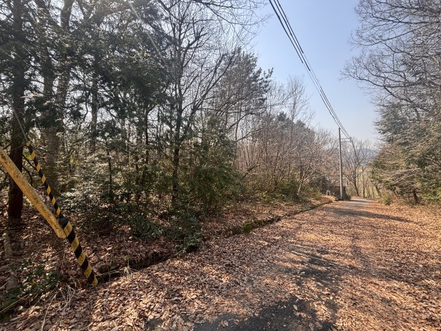 高島市今津町福岡1167-26、1171-8　売土地の前面道路含む現地写真|2025年03月　撮影