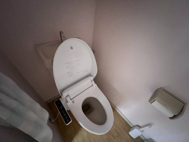 イーストヒルⅡのトイレ