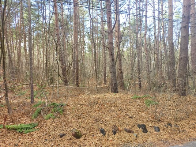 浅間ハイランドパーク200万円以下でセキュリティゲートから離れていて静かな土地の前面道路含む現地写真