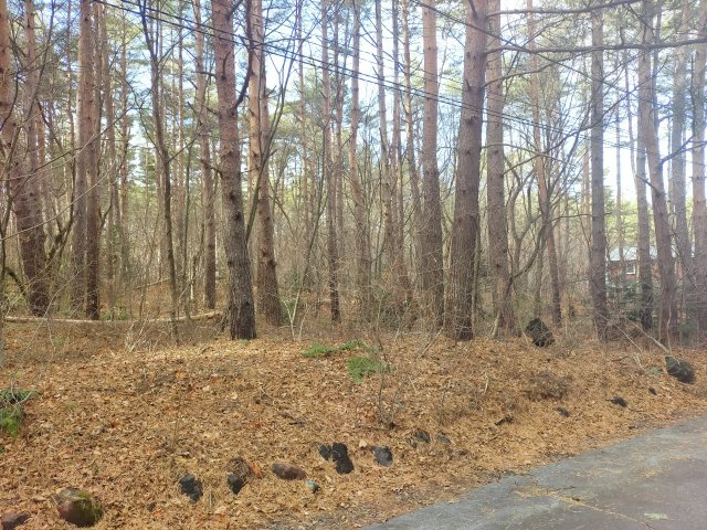 浅間ハイランドパーク200万円以下でセキュリティゲートから離れていて静かな土地の前面道路含む現地写真