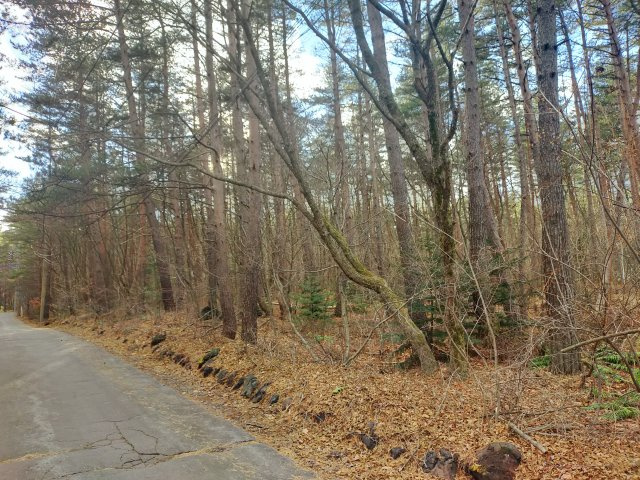 浅間ハイランドパーク200万円以下でセキュリティゲートから離れていて静かな土地の前面道路含む現地写真