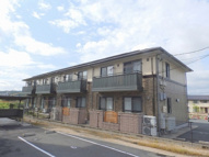 アルストロメリアの画像