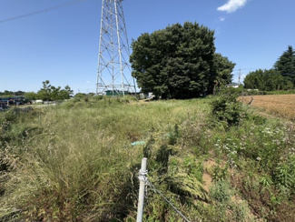 【周辺】 | 坂戸市塚越　建築条件なし売地　「坂戸駅」車14分　敷地99坪　【勝呂小学区】