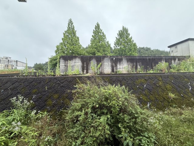 コーポ八幡の展望