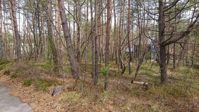 浅間ハイランドパーク近隣一帯が明るい土地の前面道路含む現地写真