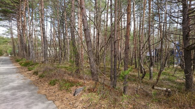 浅間ハイランドパーク近隣一帯が明るい土地の前面道路含む現地写真