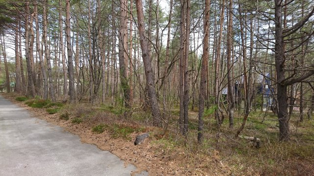 浅間ハイランドパーク近隣一帯が明るい土地の前面道路含む現地写真