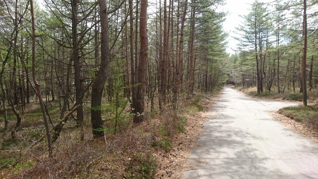 浅間ハイランドパーク近隣一帯が明るい土地の前面道路含む現地写真