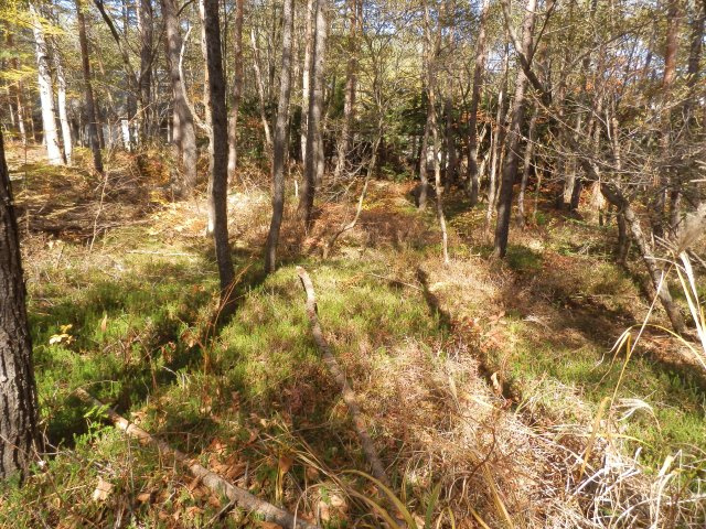 浅間ハイランドパーク沢に面した土地のその他