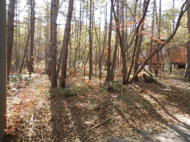浅間ハイランドパーク沢に面した土地の前面道路含む現地写真