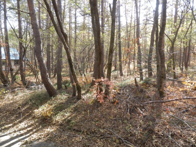 浅間ハイランドパーク沢に面した土地の前面道路含む現地写真