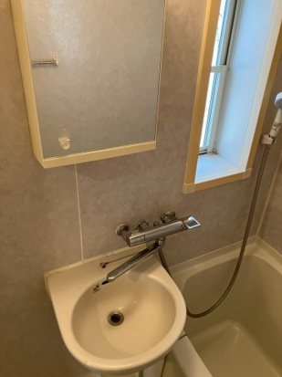 リーベ日吉の洗面所