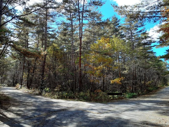 【商談中】浅間ハイランドパーク約800 坪の広い土地の前面道路含む現地写真
