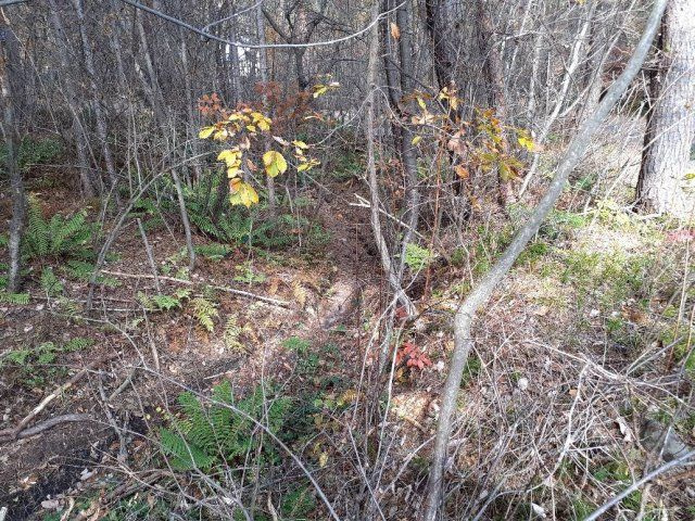 【商談中】浅間ハイランドパーク約800 坪の広い土地のその他