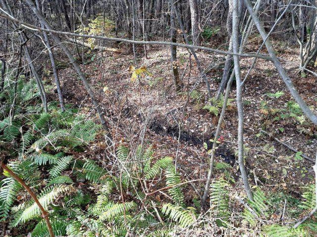 【商談中】浅間ハイランドパーク約800 坪の広い土地のその他