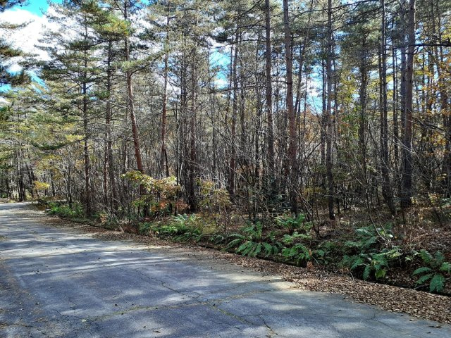 【商談中】浅間ハイランドパーク約800 坪の広い土地の前面道路含む現地写真