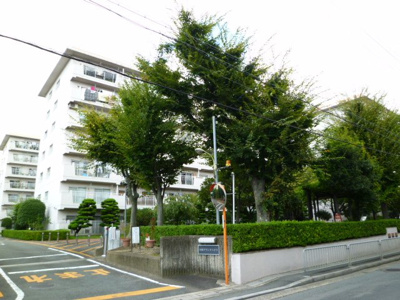 【外観】 | 向陽グランドハイツ