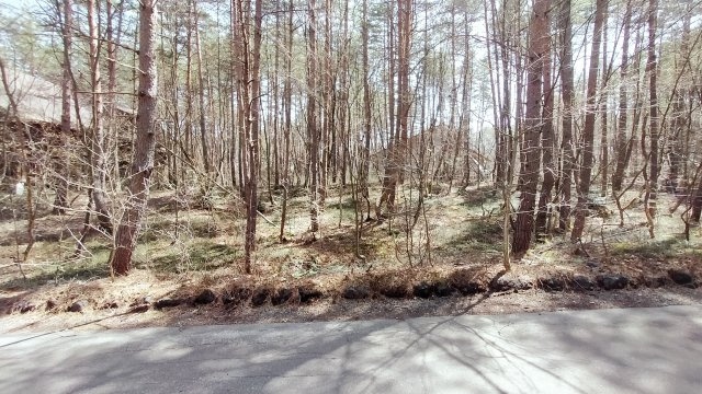 浅間ハイランドパーク別荘地内でも奥まった場所で静かな土地の前面道路含む現地写真