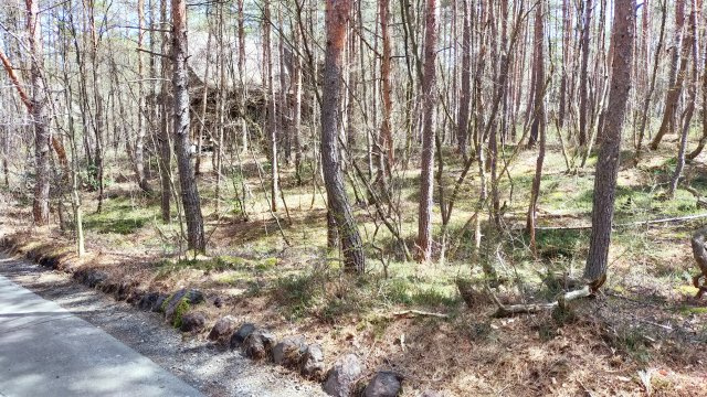 浅間ハイランドパーク別荘地内でも奥まった場所で静かな土地の前面道路含む現地写真
