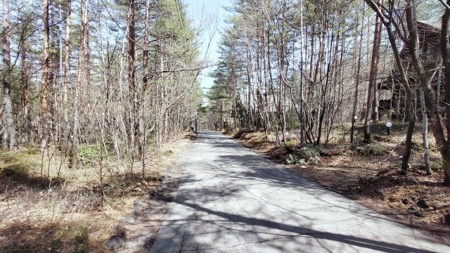 浅間ハイランドパーク別荘地内でも奥まった場所で静かな土地の前面道路含む現地写真