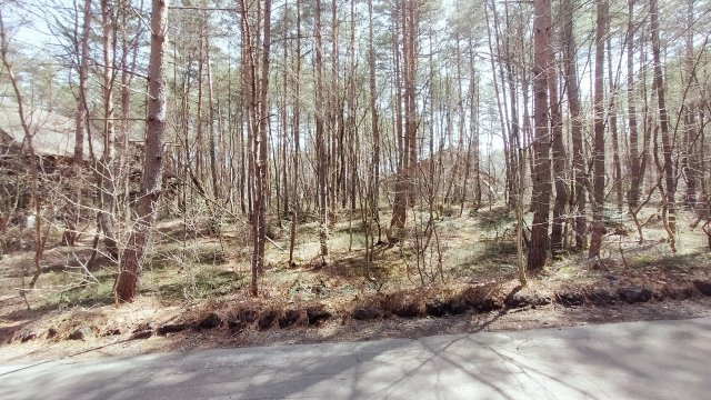 浅間ハイランドパーク別荘地内でも奥まった場所で静かな土地の前面道路含む現地写真