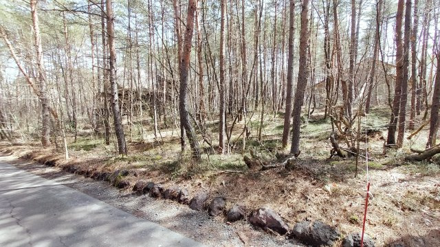 浅間ハイランドパーク別荘地内でも奥まった場所で静かな土地の前面道路含む現地写真