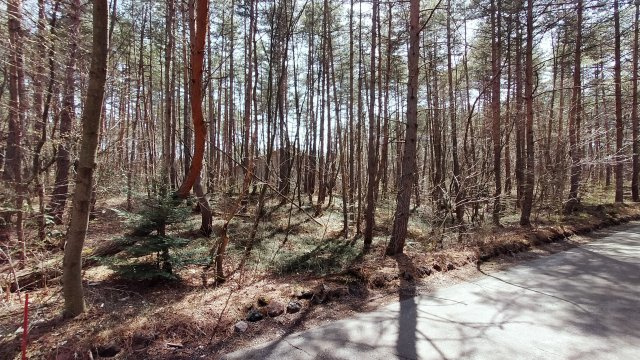 浅間ハイランドパーク別荘地内でも奥まった場所で静かな土地の前面道路含む現地写真