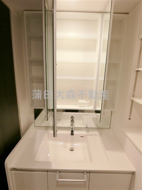 RJRプレシア大森北の洗面所