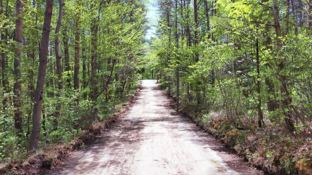 浅間ハイランドパーク車通りも少なく、静かさを求める方向けの土地の前面道路含む現地写真