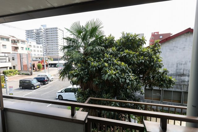 協栄マンションOYAMAの展望