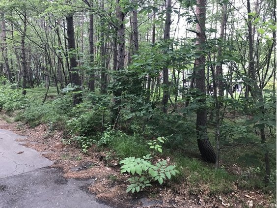 浅間ハイランドパークほぼ正方形で建築プランが色々出来そうな土地の前面道路含む現地写真