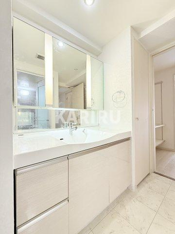 フェニックス日本橋高津の洗面所