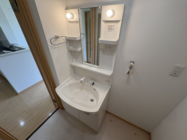 ソレアード・コーポの洗面所