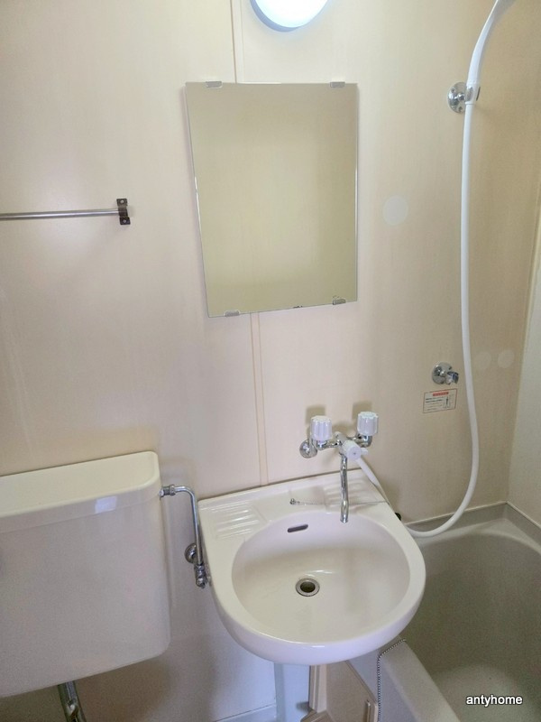 エクセレント上新6の洗面所