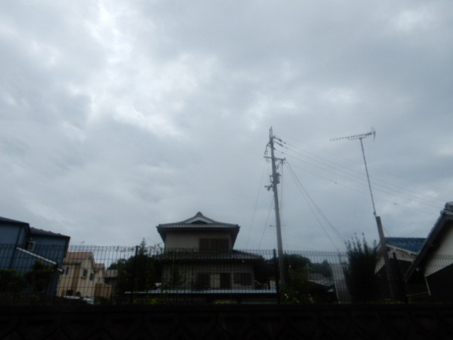 ＥＡＳＴ Ⅷの展望