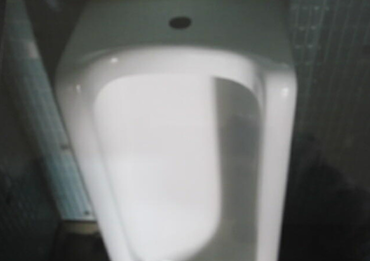 戸建　飛騨市神岡町東町　250万のトイレ