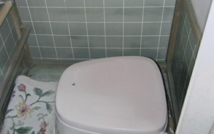 戸建　飛騨市神岡町東町　250万のトイレ