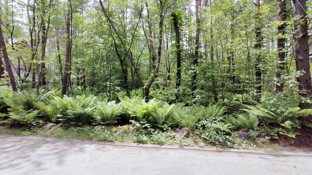 浅間ハイランドパークほぼ真四角でプランニングしやすい土地の前面道路含む現地写真