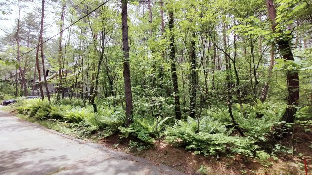浅間ハイランドパークほぼ真四角でプランニングしやすい土地の前面道路含む現地写真