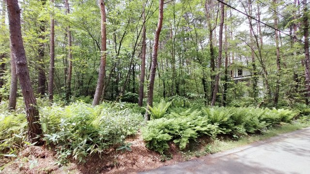 浅間ハイランドパークほぼ真四角でプランニングしやすい土地の前面道路含む現地写真