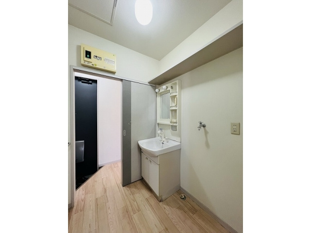 熊本市東区長嶺東７丁目のアパートの独立洗面台